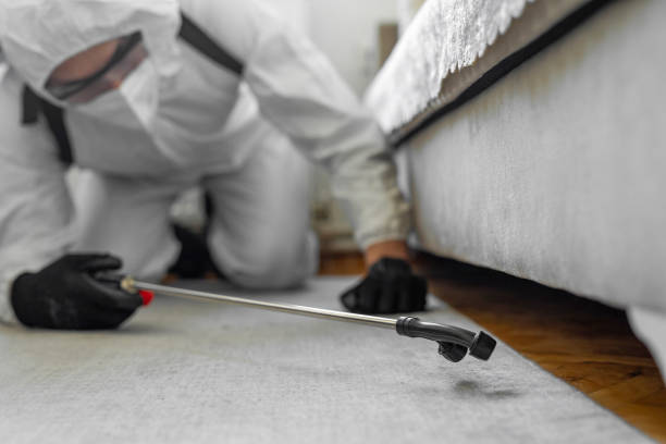 Professional Bed Bug Control technician working in Berryville, TX